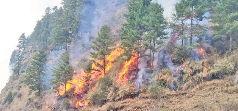 म्याग्दीका १०० भन्दा बढी वनमा डढेलो